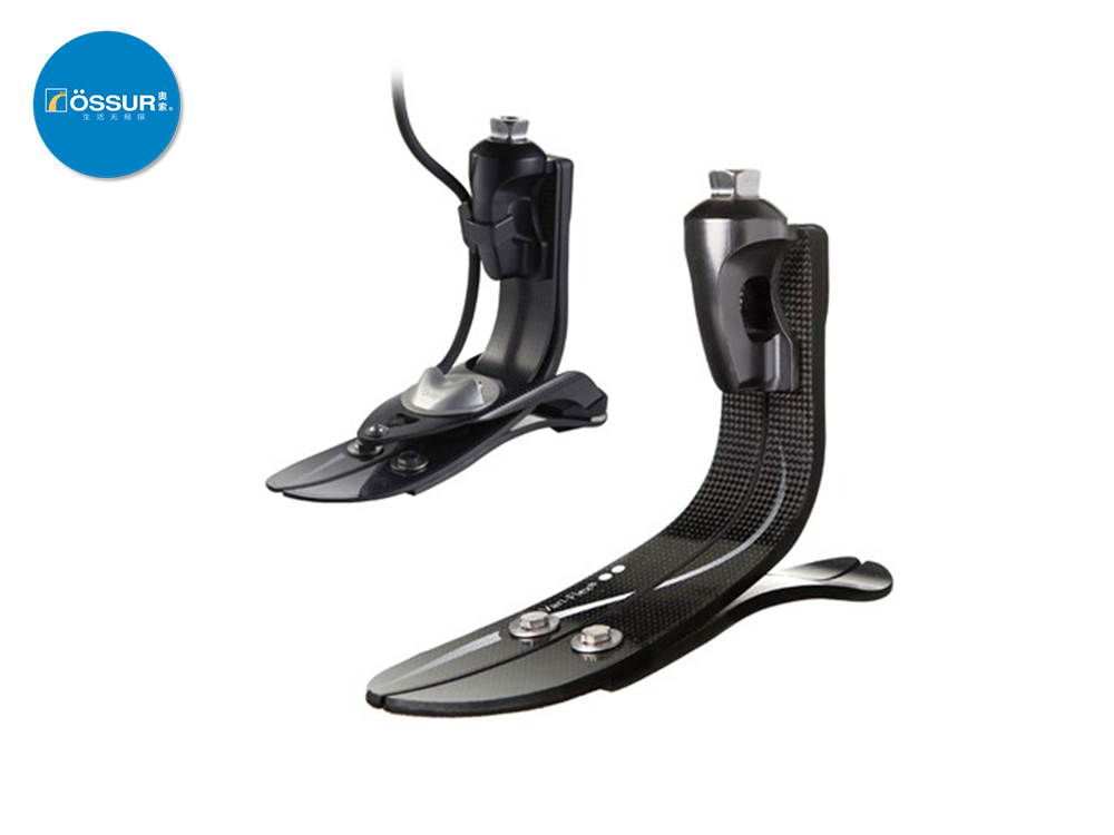 冰島奧索萬力飛毛腿